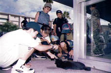 �l�Ȃ������Ȃ܂��ꍕ�L