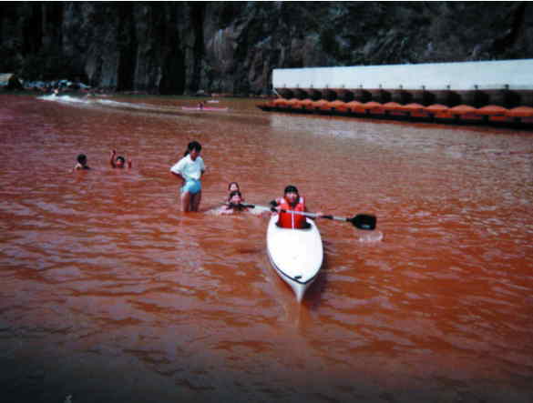 ���Ă��������������[���Ȃ�܂����B