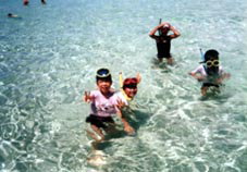 �ǂ����Y�킾�낤�ƌ����΂���̊C